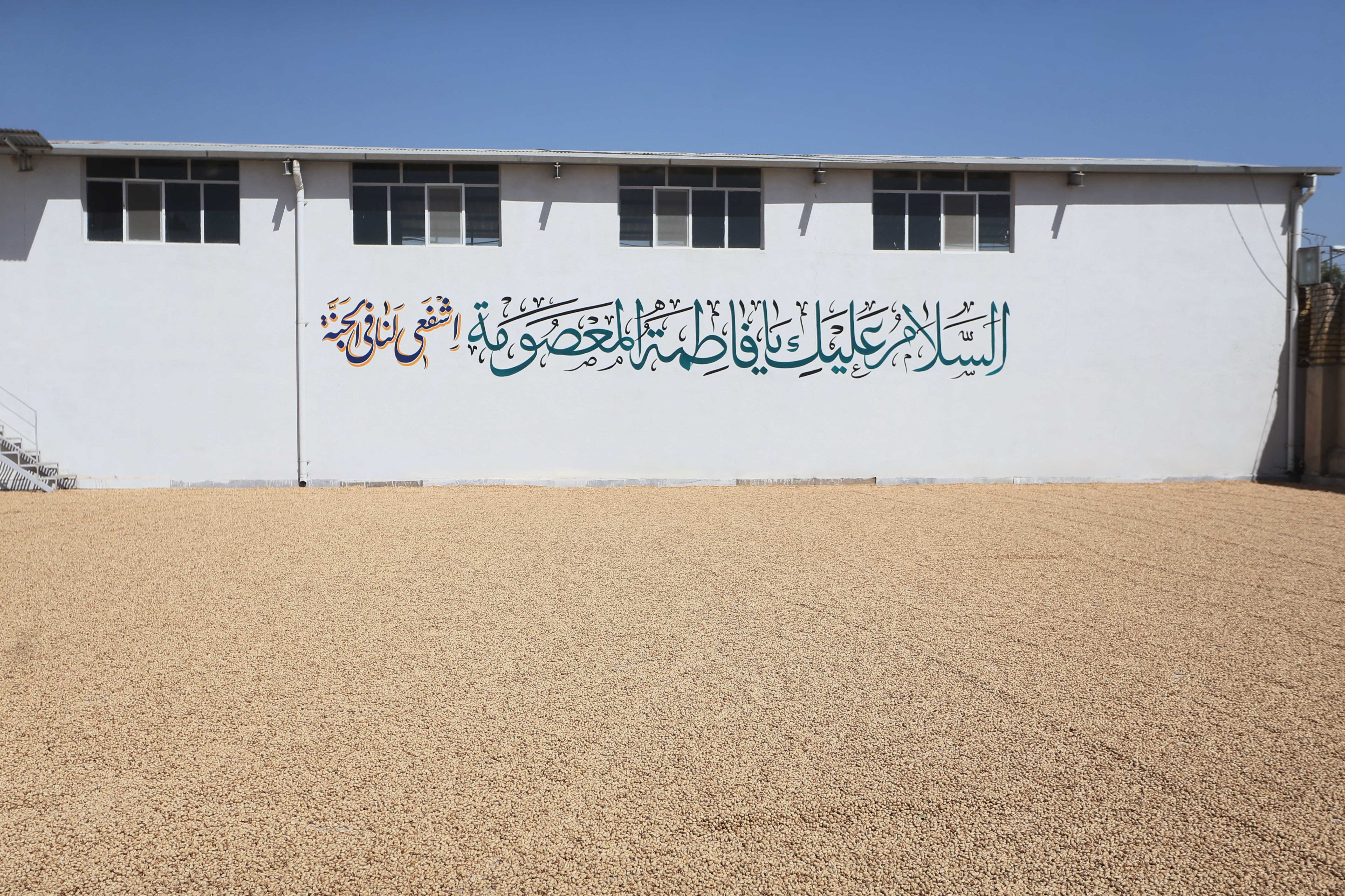 پسته اکبری